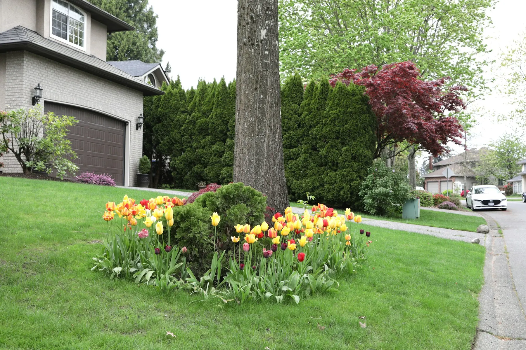 Reliable service for fresh, well-kept outdoor spaces
